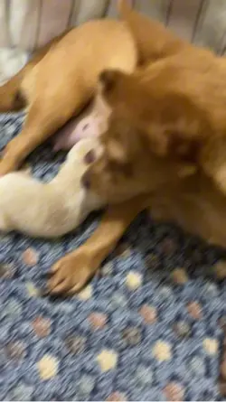 Winnie our baby