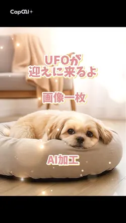 おはよー!行ってきます!