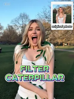 caterpillar