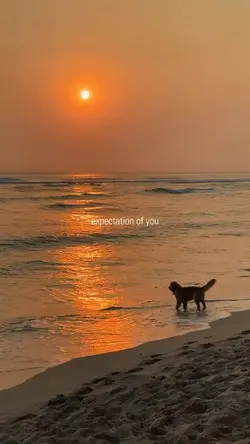 Great Expectation