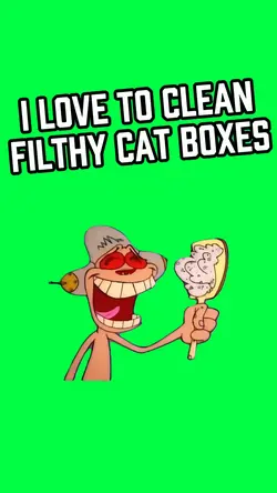 CLEANING LITTER BOX