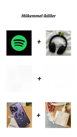 Mükemmel ikililer