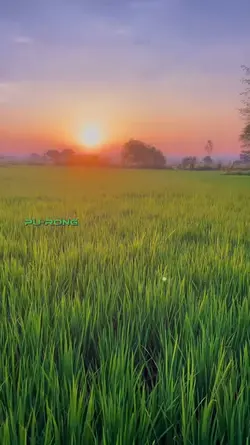 ស្រុកស្រែថ្ងៃលិច