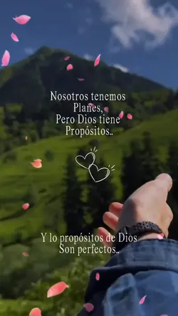 Frases bonitas ❣️
