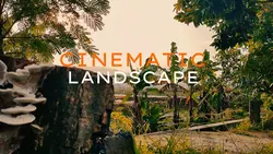 Cinematic 3 video