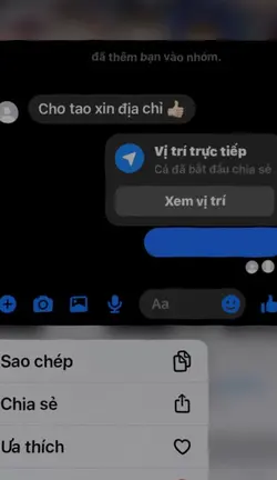 Tình Anh Em