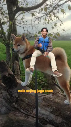 Naik anjing aja enak
