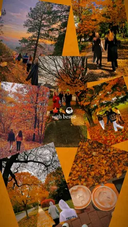 FALL WITH BESTIE