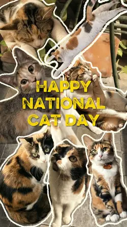Happy National catda