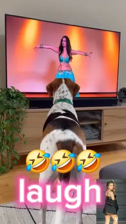 laugh vidéo 