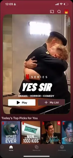 Netflix poster 
