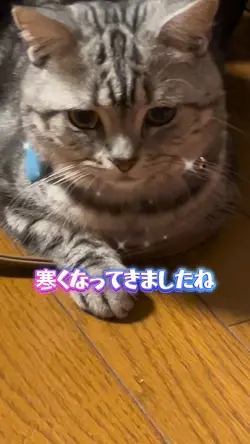 寒くなってきましたね