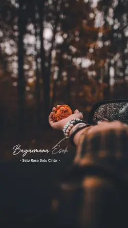 Satu Rasa Satu Cinta