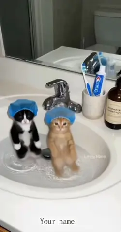 Dancing CATS