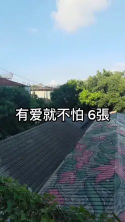 有爱就不怕 6張