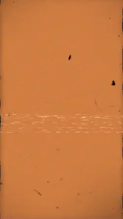 ciel funk nouveau
