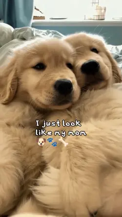 Just look like mom
