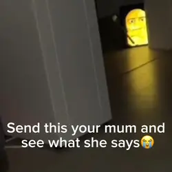 Chicken nugget meme