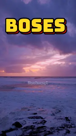 Boses
