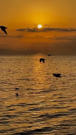 Yeni şablon slowmo 