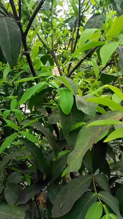 nature love