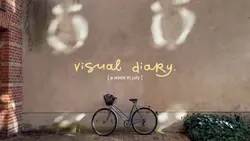 visual diary