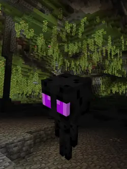 enderman 