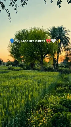 Village Vibes |