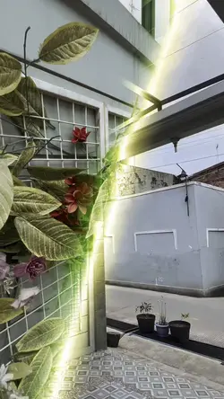 JJ KANE 3 VIDEO