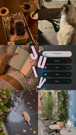 July Dump
