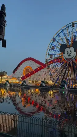 Disneyland moments 