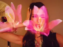 Blooming flowers