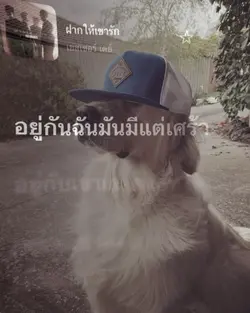 เพลงฝากให้เขารัก