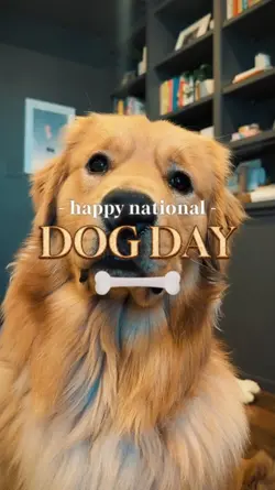 happy dog day