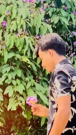 Sundor lage na 
