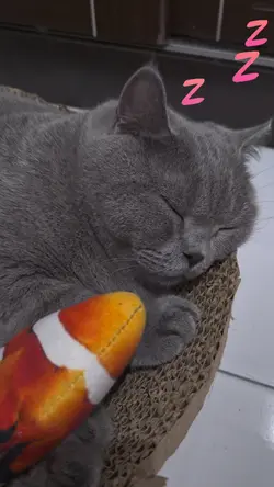 beauty sleep