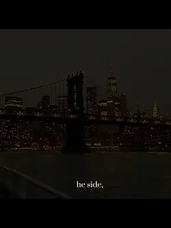 The nights