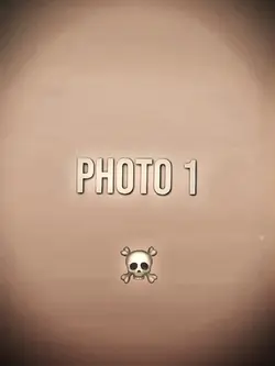 phonk 