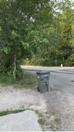 Low frame rate trans