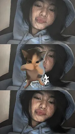 nomir versi kucing
