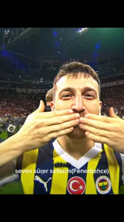 gelsin linçler