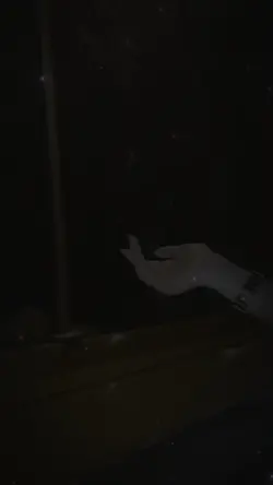 Narben..