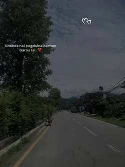 Timi sangai