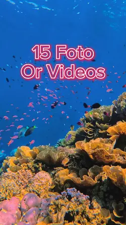 15 Foto Slides