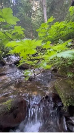 Nature