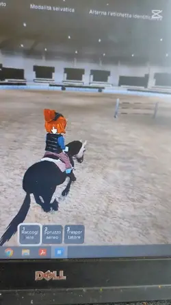 flyyyyy