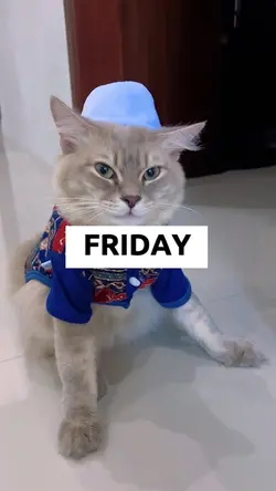 FRIDAY