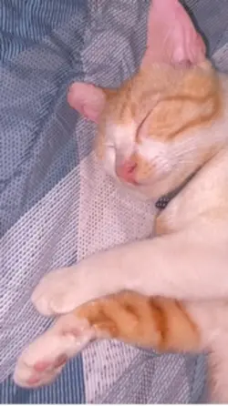 Tidur tidur 😴 