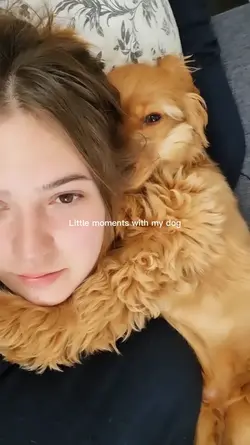 moments with dog