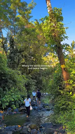 Nature